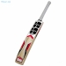 SS TON DRE RUSS PLAYERS - CRICKET BAT