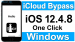 iCloud Removal