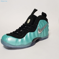 NIKE Air Foamposite Pro (Size 9)