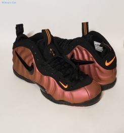 NIKE Air Foamposite Pro (Size 11)