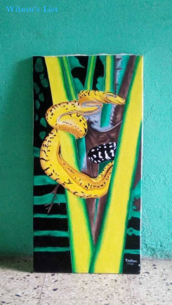 jamaica bowa