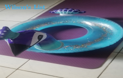 Swimming Pool Floaties (Adult & Kids)