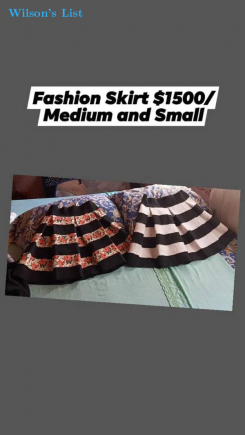 Fashion Skirt