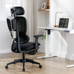 Hforesty Ergonomic Mesh Office Chair, with 3D Lumbar Support, with headrest